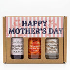 Mother's Day Limited Edition - Strawberry Cheesecake GIN Newy Distillery