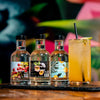 Vodka Fruit Liqueur Gift Pack